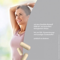 Best Body Nutrition - Bio Ashwagandha Kapseln (60 Stck/Dose)